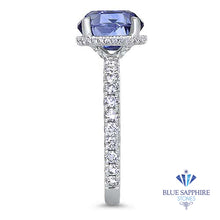 Load image into Gallery viewer, 3.30ct Oval Blue Sapphire Ring with Hidden Diamond Halo in 18K White Gold